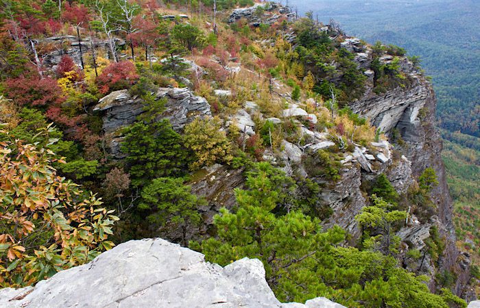 NC mountains in the fall